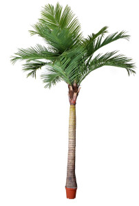Best Selling Big Palm Tree Artificial Plants and Flowers